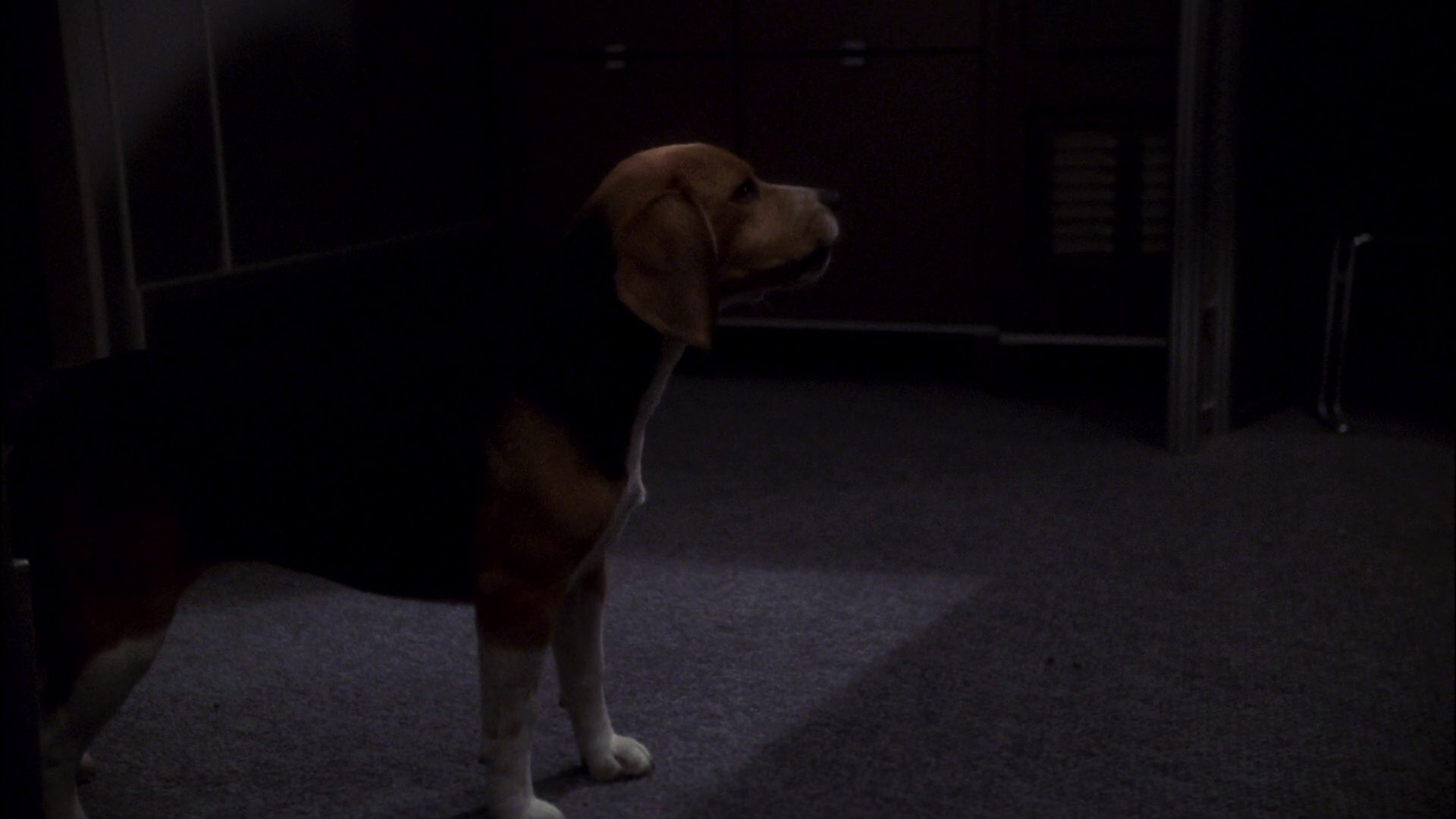 extant_StarTrek_ENT_1x11-ColdFront_2405.jpg