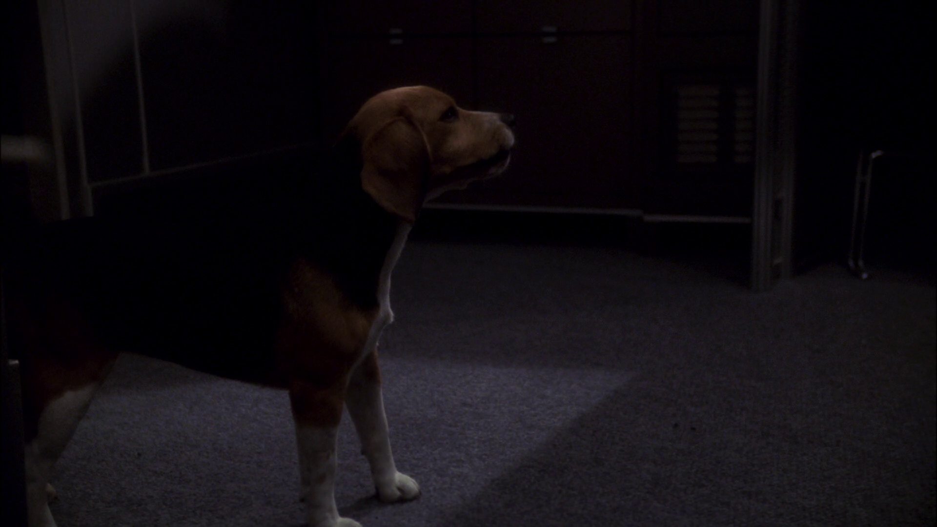 extant_StarTrek_ENT_1x11-ColdFront_2406.jpg