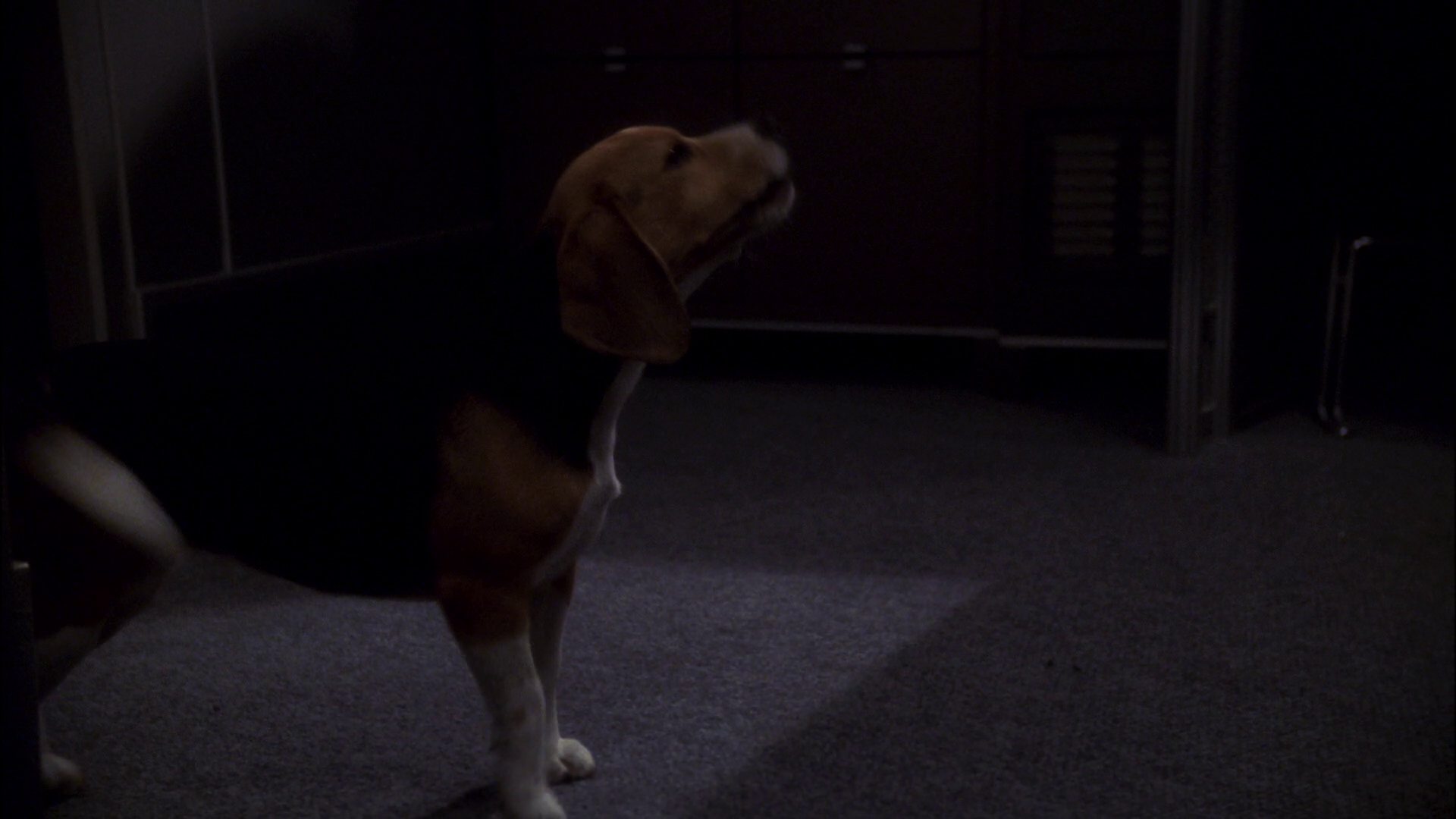 extant_StarTrek_ENT_1x11-ColdFront_2408.jpg