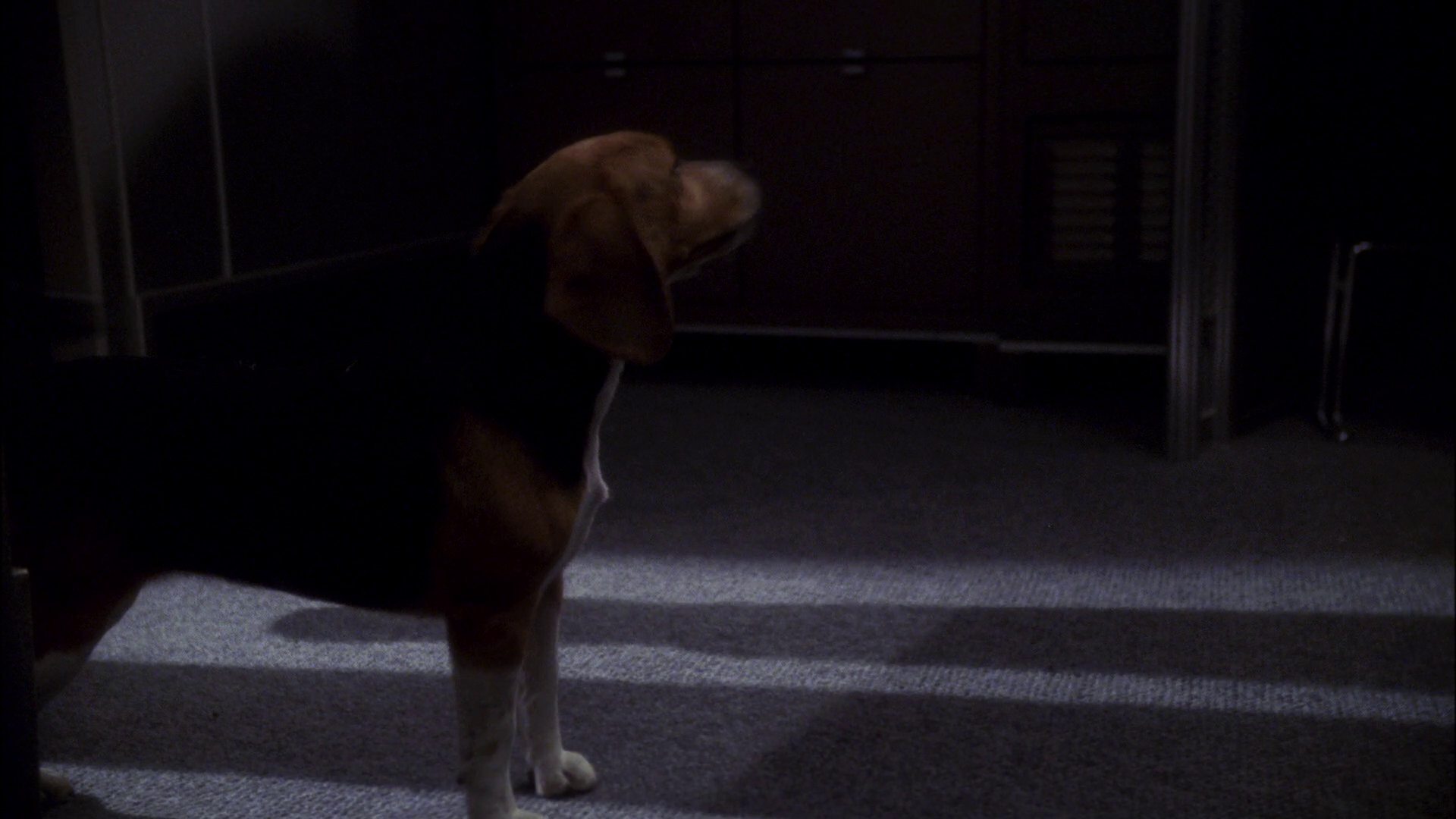 extant_StarTrek_ENT_1x11-ColdFront_2411.jpg