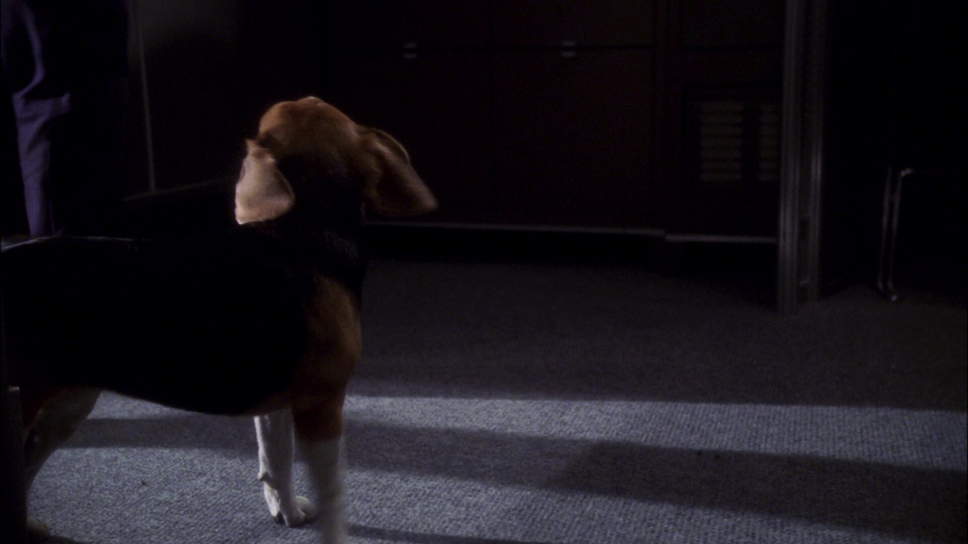 extant_StarTrek_ENT_1x11-ColdFront_2412.jpg