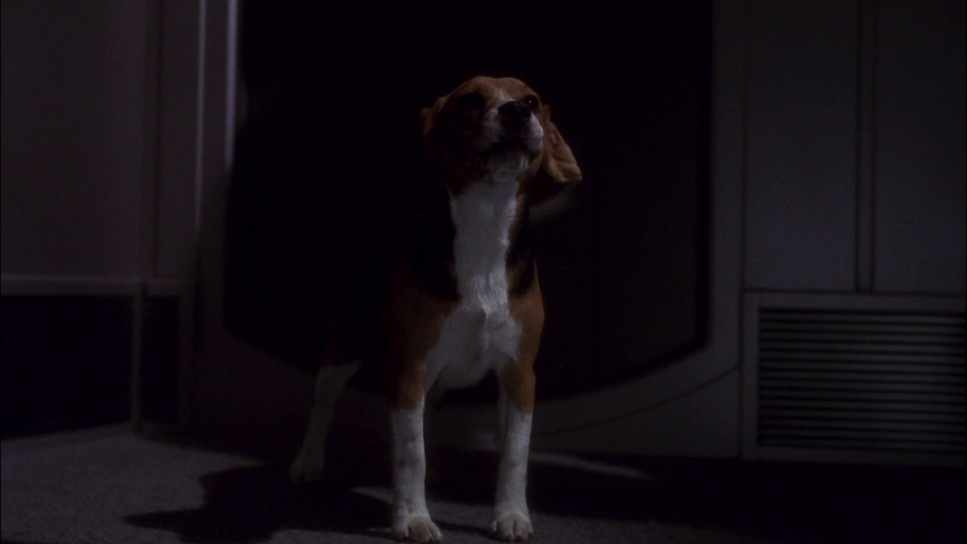 extant_StarTrek_ENT_1x11-ColdFront_2430.jpg
