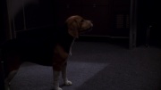 Filename=extant_StarTrek_ENT_1x11-ColdFront_2405.jpg
Filesize=127KiB
Dimensions=1920x1080
Date added=May 29, 2020 extant_StarTrek_ENT_1x11-ColdFront_2405.jpg
