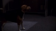 Filename=extant_StarTrek_ENT_1x11-ColdFront_2406.jpg
Filesize=123KiB
Dimensions=1920x1080
Date added=May 29, 2020 extant_StarTrek_ENT_1x11-ColdFront_2406.jpg