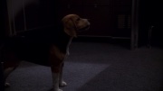 Filename=extant_StarTrek_ENT_1x11-ColdFront_2407.jpg
Filesize=124KiB
Dimensions=1920x1080
Date added=May 29, 2020 extant_StarTrek_ENT_1x11-ColdFront_2407.jpg