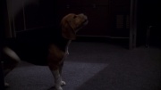 Filename=extant_StarTrek_ENT_1x11-ColdFront_2408.jpg
Filesize=124KiB
Dimensions=1920x1080
Date added=May 29, 2020 extant_StarTrek_ENT_1x11-ColdFront_2408.jpg