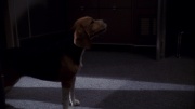 Filename=extant_StarTrek_ENT_1x11-ColdFront_2410.jpg
Filesize=148KiB
Dimensions=1920x1080
Date added=May 29, 2020 extant_StarTrek_ENT_1x11-ColdFront_2410.jpg