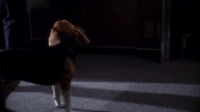 Filename=extant_StarTrek_ENT_1x11-ColdFront_2412.jpg
Filesize=157KiB
Dimensions=1920x1080
Date added=May 29, 2020 extant_StarTrek_ENT_1x11-ColdFront_2412.jpg