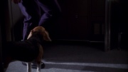 Filename=extant_StarTrek_ENT_1x11-ColdFront_2413.jpg
Filesize=121KiB
Dimensions=1920x1080
Date added=May 29, 2020 extant_StarTrek_ENT_1x11-ColdFront_2413.jpg