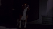 Filename=extant_StarTrek_ENT_1x11-ColdFront_2429.jpg
Filesize=86KiB
Dimensions=1920x1080
Date added=May 29, 2020 extant_StarTrek_ENT_1x11-ColdFront_2429.jpg
