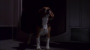 Filename=extant_StarTrek_ENT_1x11-ColdFront_2430.jpg
Filesize=114KiB
Dimensions=1920x1080
Date added=May 29, 2020 extant_StarTrek_ENT_1x11-ColdFront_2430.jpg