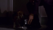 Filename=extant_StarTrek_ENT_1x11-ColdFront_2439.jpg
Filesize=101KiB
Dimensions=1920x1080
Date added=May 29, 2020 extant_StarTrek_ENT_1x11-ColdFront_2439.jpg