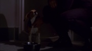 Filename=extant_StarTrek_ENT_1x11-ColdFront_2443.jpg
Filesize=103KiB
Dimensions=1920x1080
Date added=May 29, 2020 extant_StarTrek_ENT_1x11-ColdFront_2443.jpg