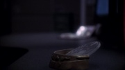 Filename=extant_StarTrek_ENT_1x11-ColdFront_3582.jpg
Filesize=127KiB
Dimensions=1920x1080
Date added=May 29, 2020 extant_StarTrek_ENT_1x11-ColdFront_3582.jpg