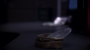 Filename=extant_StarTrek_ENT_1x11-ColdFront_3583.jpg
Filesize=133KiB
Dimensions=1920x1080
Date added=May 29, 2020 extant_StarTrek_ENT_1x11-ColdFront_3583.jpg