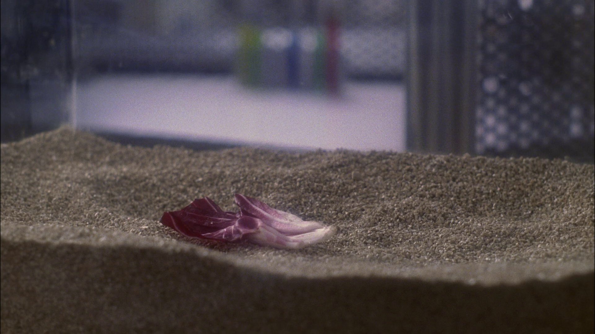 extant_StarTrek_ENT_1x13-DearDoctor_0066.jpg
