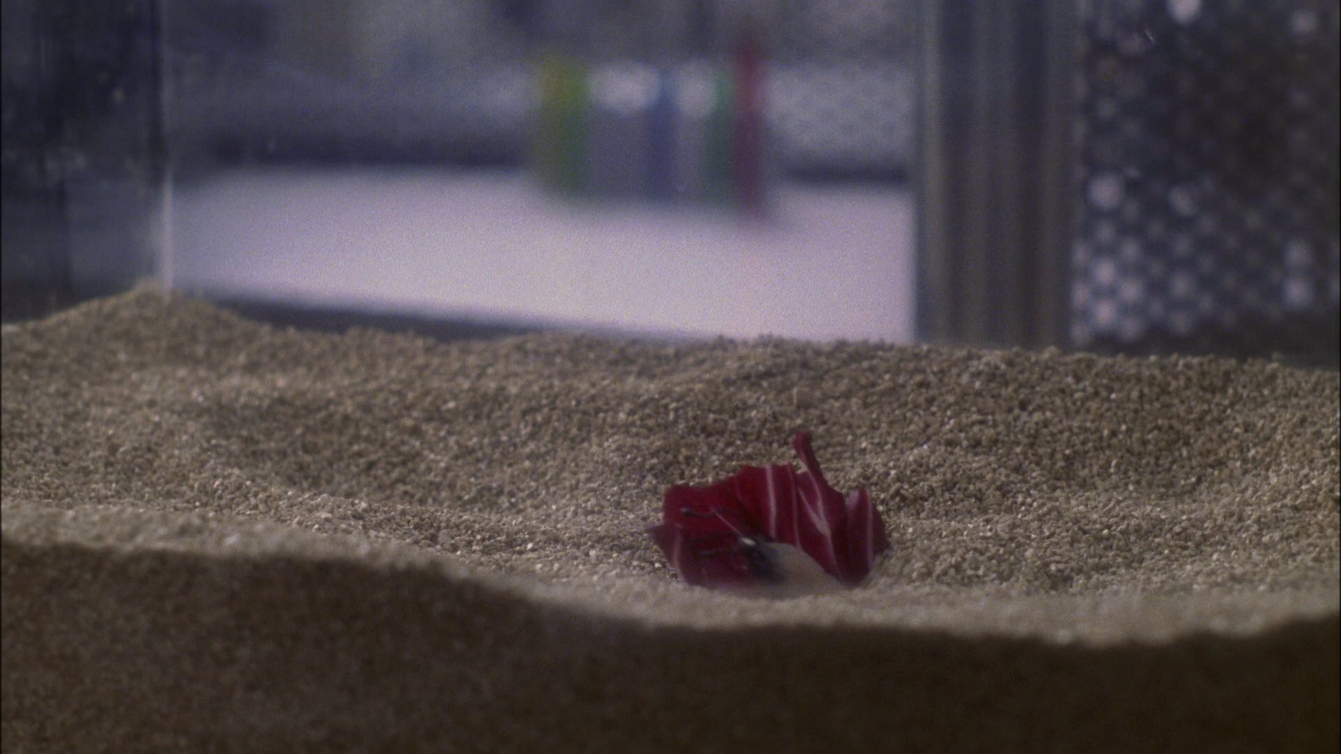 extant_StarTrek_ENT_1x13-DearDoctor_0070.jpg