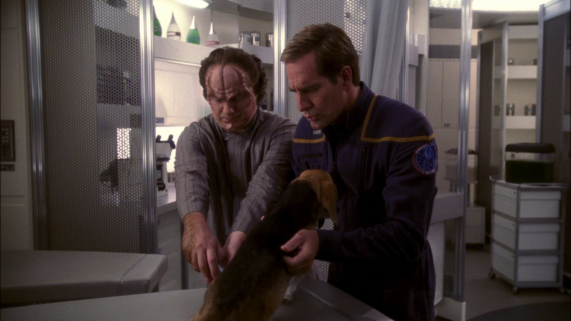 extant_StarTrek_ENT_1x13-DearDoctor_0504.jpg