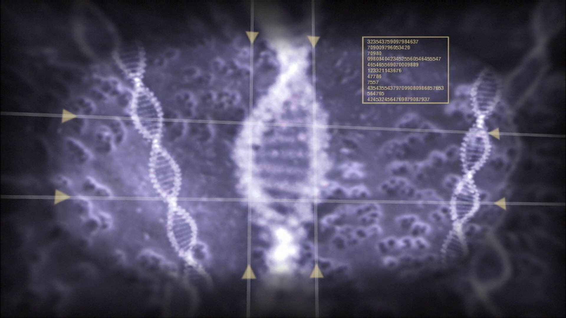 extant_StarTrek_ENT_1x13-DearDoctor_2949.jpg