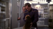 Filename=extant_StarTrek_ENT_1x13-DearDoctor_0488.jpg
Filesize=293KiB
Dimensions=1920x1080
Date added=May 29, 2020 extant_StarTrek_ENT_1x13-DearDoctor_0488.jpg