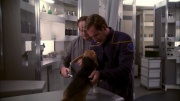 Filename=extant_StarTrek_ENT_1x13-DearDoctor_0501.jpg
Filesize=247KiB
Dimensions=1920x1080
Date added=May 29, 2020 extant_StarTrek_ENT_1x13-DearDoctor_0501.jpg