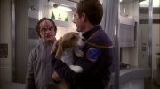 Filename=extant_StarTrek_ENT_1x13-DearDoctor_0520.jpg
Filesize=241KiB
Dimensions=1920x1080
Date added=May 29, 2020 extant_StarTrek_ENT_1x13-DearDoctor_0520.jpg