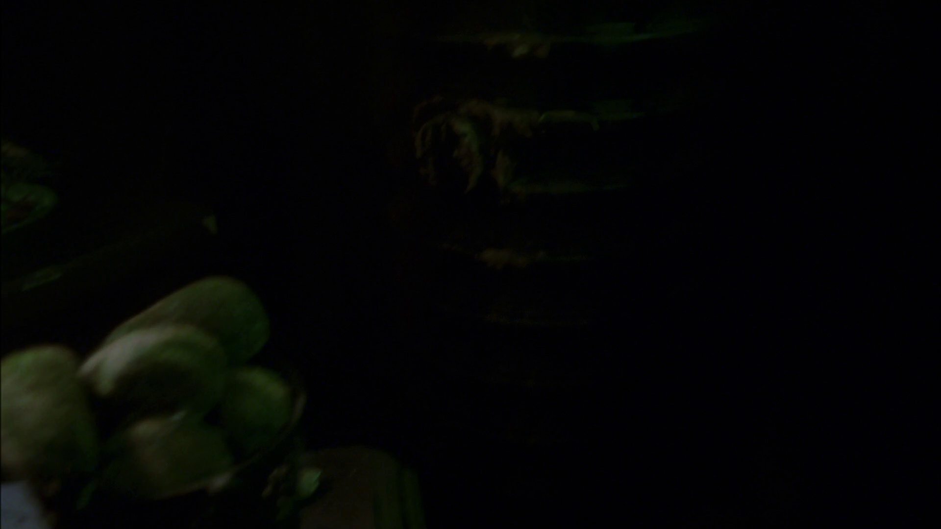 extant_StarTrek_ENT_1x14-SleepingDogs_1038.jpg