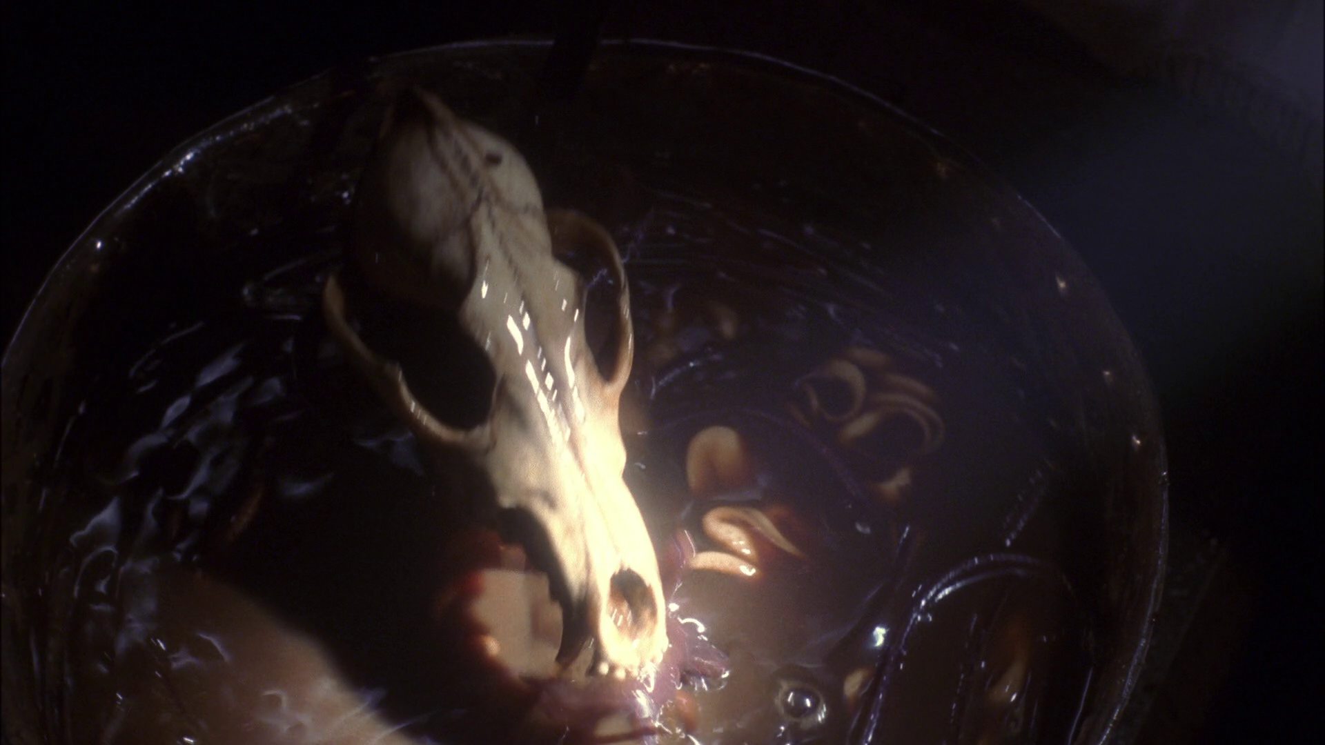 extant_StarTrek_ENT_1x14-SleepingDogs_2450.jpg