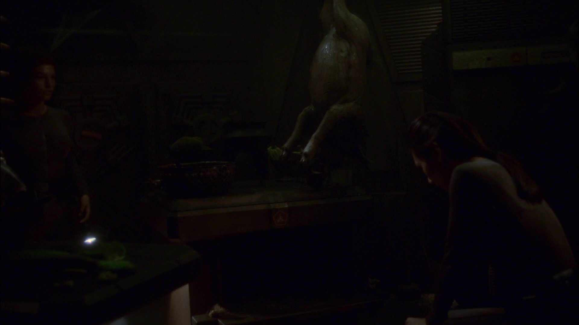 extant_StarTrek_ENT_1x14-SleepingDogs_2511.jpg