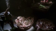 extant_StarTrek_ENT_1x14-SleepingDogs_1021.jpg