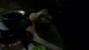 Filename=extant_StarTrek_ENT_1x14-SleepingDogs_1037.jpg
Filesize=78KiB
Dimensions=1920x1080
Date added=May 29, 2020 extant_StarTrek_ENT_1x14-SleepingDogs_1037.jpg