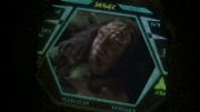 extant_StarTrek_ENT_1x14-SleepingDogs_2088.jpg