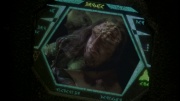 extant_StarTrek_ENT_1x14-SleepingDogs_2139.jpg