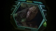 extant_StarTrek_ENT_1x14-SleepingDogs_2144.jpg