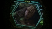 extant_StarTrek_ENT_1x14-SleepingDogs_2146.jpg