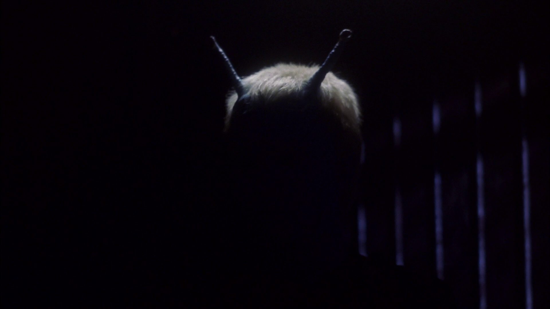 extant_StarTrek_ENT_1x15-ShadowsOfPJem_2586.jpg