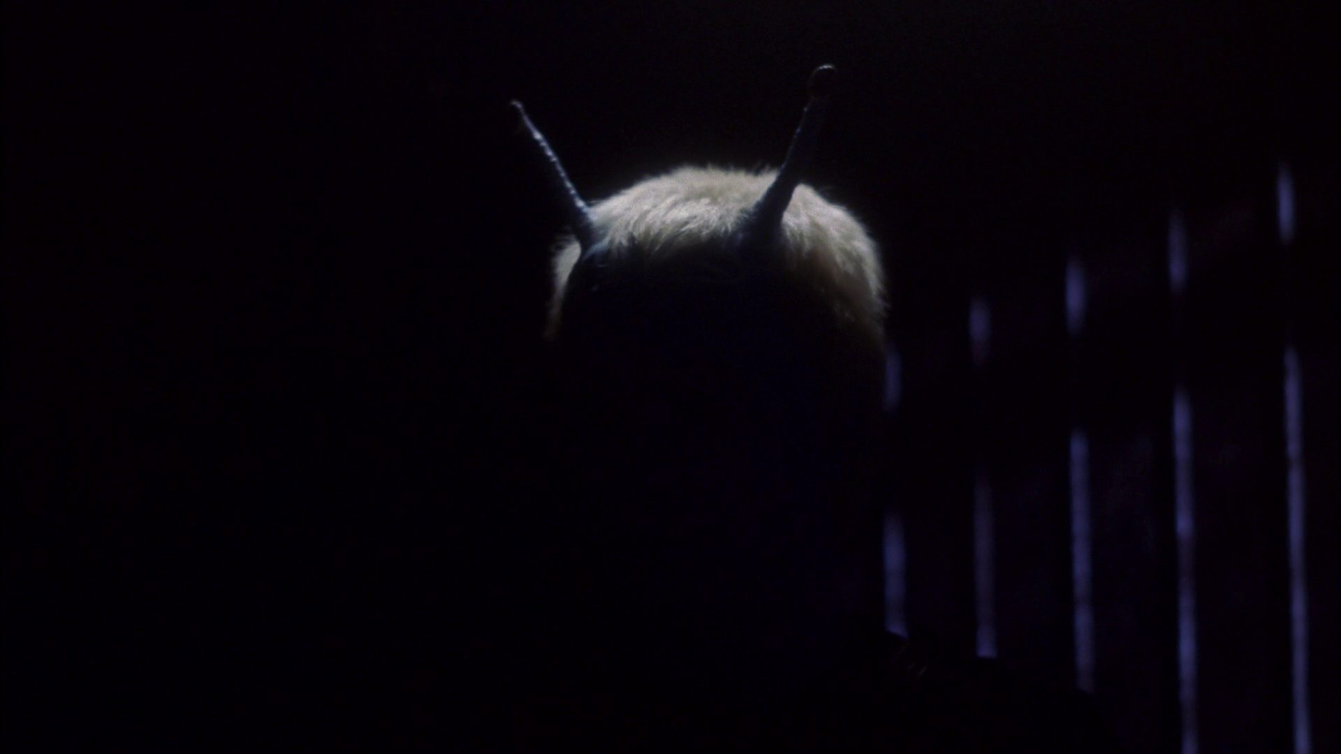 extant_StarTrek_ENT_1x15-ShadowsOfPJem_2587.jpg
