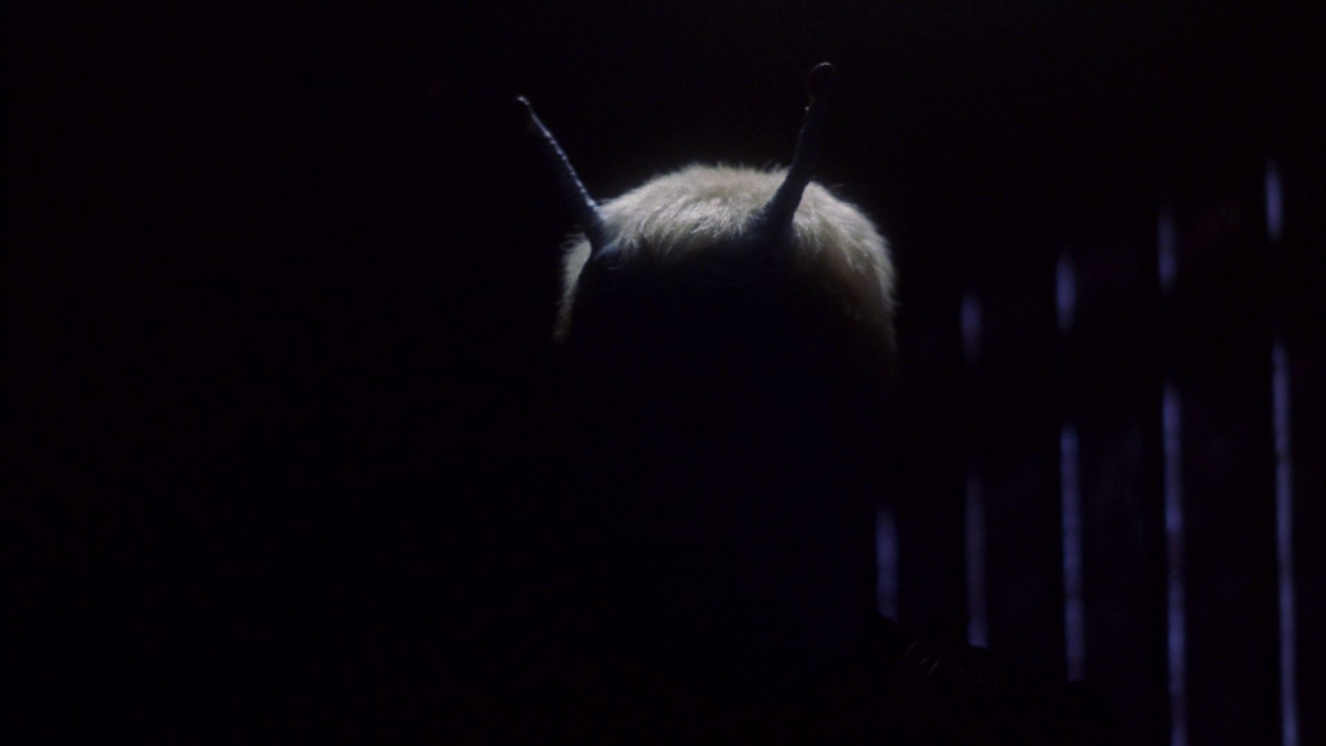 extant_StarTrek_ENT_1x15-ShadowsOfPJem_2588.jpg