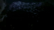 Filename=extant_StarTrek_ENT_1x15-ShadowsOfPJem_3111.jpg
Filesize=67KiB
Dimensions=1920x1080
Date added=May 29, 2020 extant_StarTrek_ENT_1x15-ShadowsOfPJem_3111.jpg