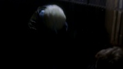 Filename=extant_StarTrek_ENT_1x15-ShadowsOfPJem_3145.jpg
Filesize=62KiB
Dimensions=1920x1080
Date added=May 29, 2020 extant_StarTrek_ENT_1x15-ShadowsOfPJem_3145.jpg