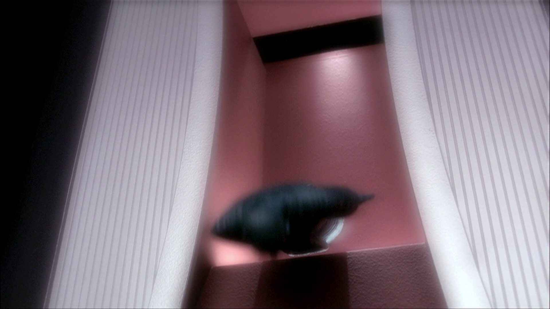 extant_StarTrek_ENT_1x17-Fusion_1783.jpg