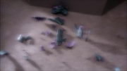 Filename=extant_StarTrek_ENT_1x17-Fusion_1786.jpg
Filesize=197KiB
Dimensions=1920x1080
Date added=May 29, 2020 extant_StarTrek_ENT_1x17-Fusion_1786.jpg