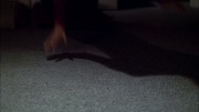 Filename=extant_StarTrek_ENT_1x17-Fusion_2879.jpg
Filesize=215KiB
Dimensions=1920x1080
Date added=May 29, 2020 extant_StarTrek_ENT_1x17-Fusion_2879.jpg