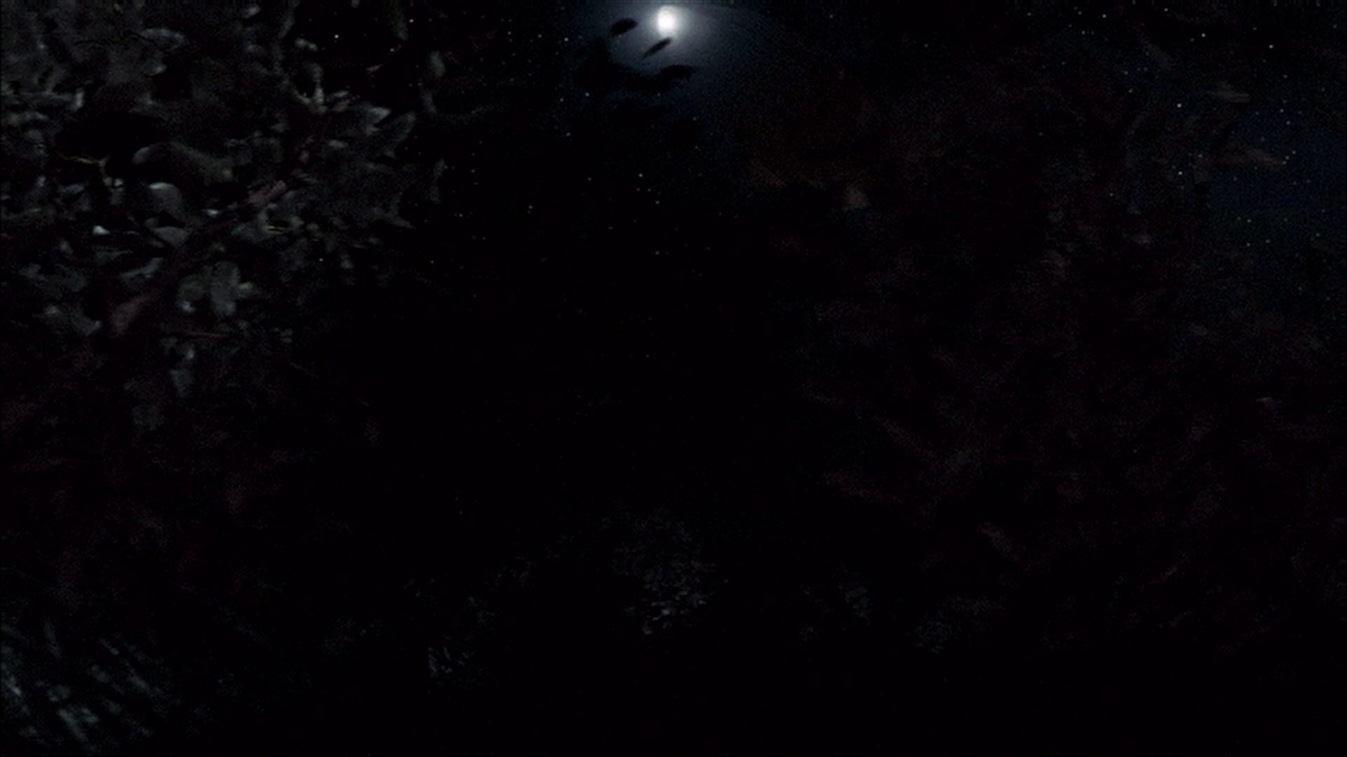 extant_StarTrek_ENT_1x18-RoguePlanet_0380.jpg