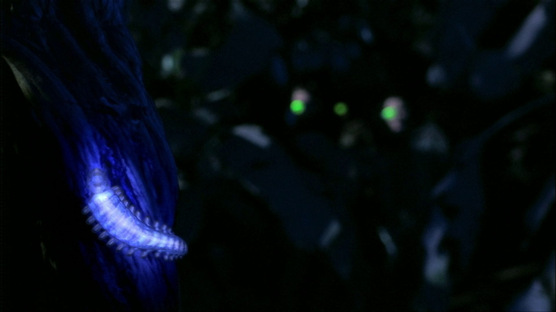 extant_StarTrek_ENT_1x18-RoguePlanet_0514.jpg