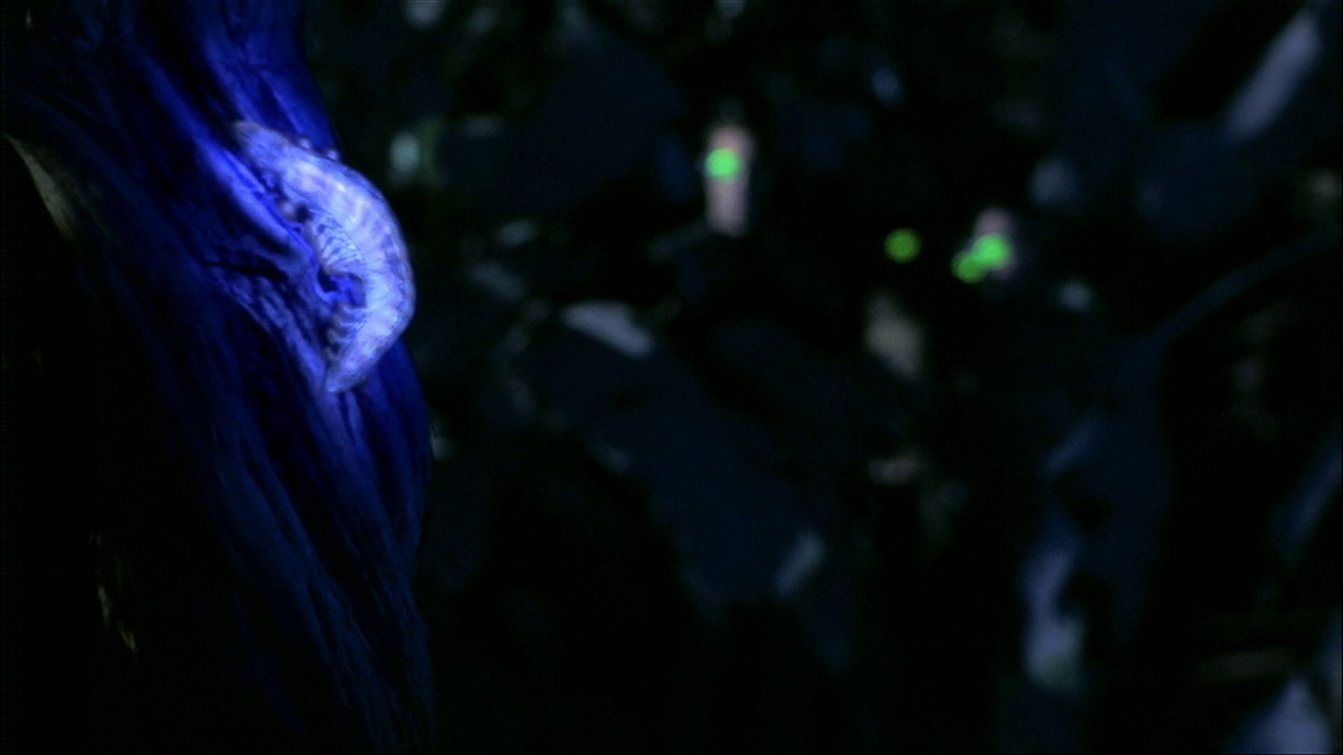 extant_StarTrek_ENT_1x18-RoguePlanet_0519.jpg