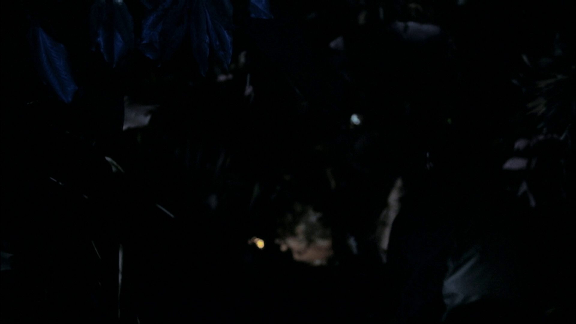 extant_StarTrek_ENT_1x18-RoguePlanet_0542.jpg