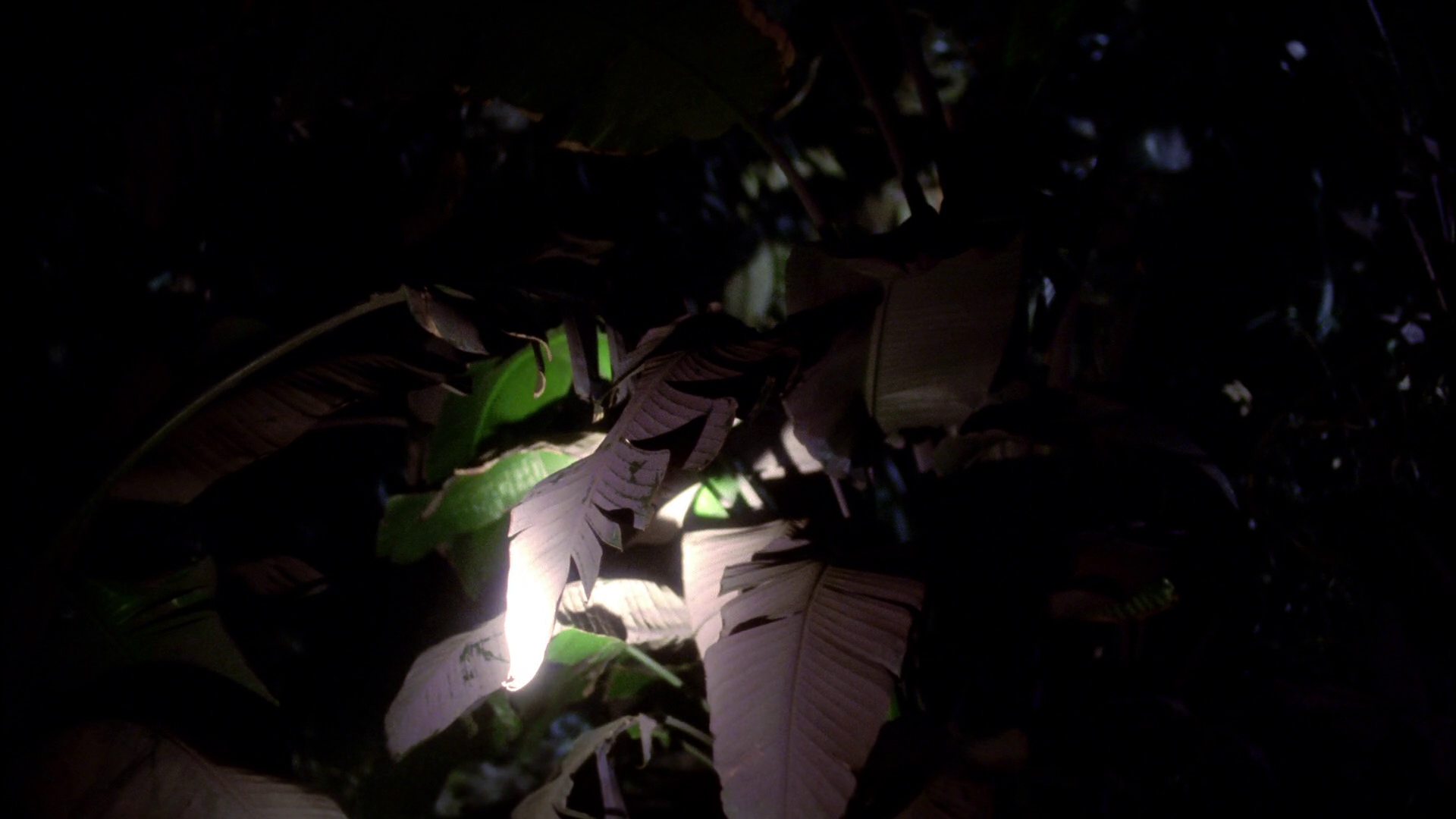 extant_StarTrek_ENT_1x18-RoguePlanet_1163.jpg