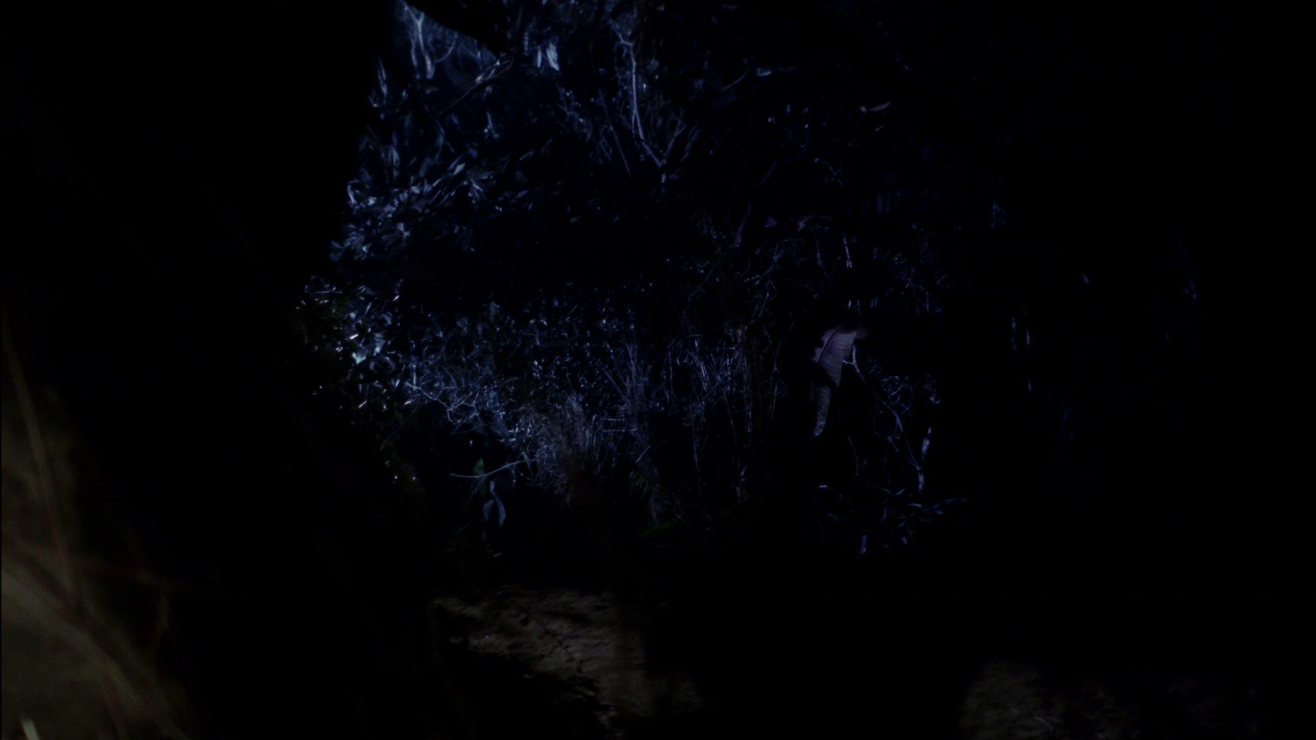 extant_StarTrek_ENT_1x18-RoguePlanet_1848.jpg