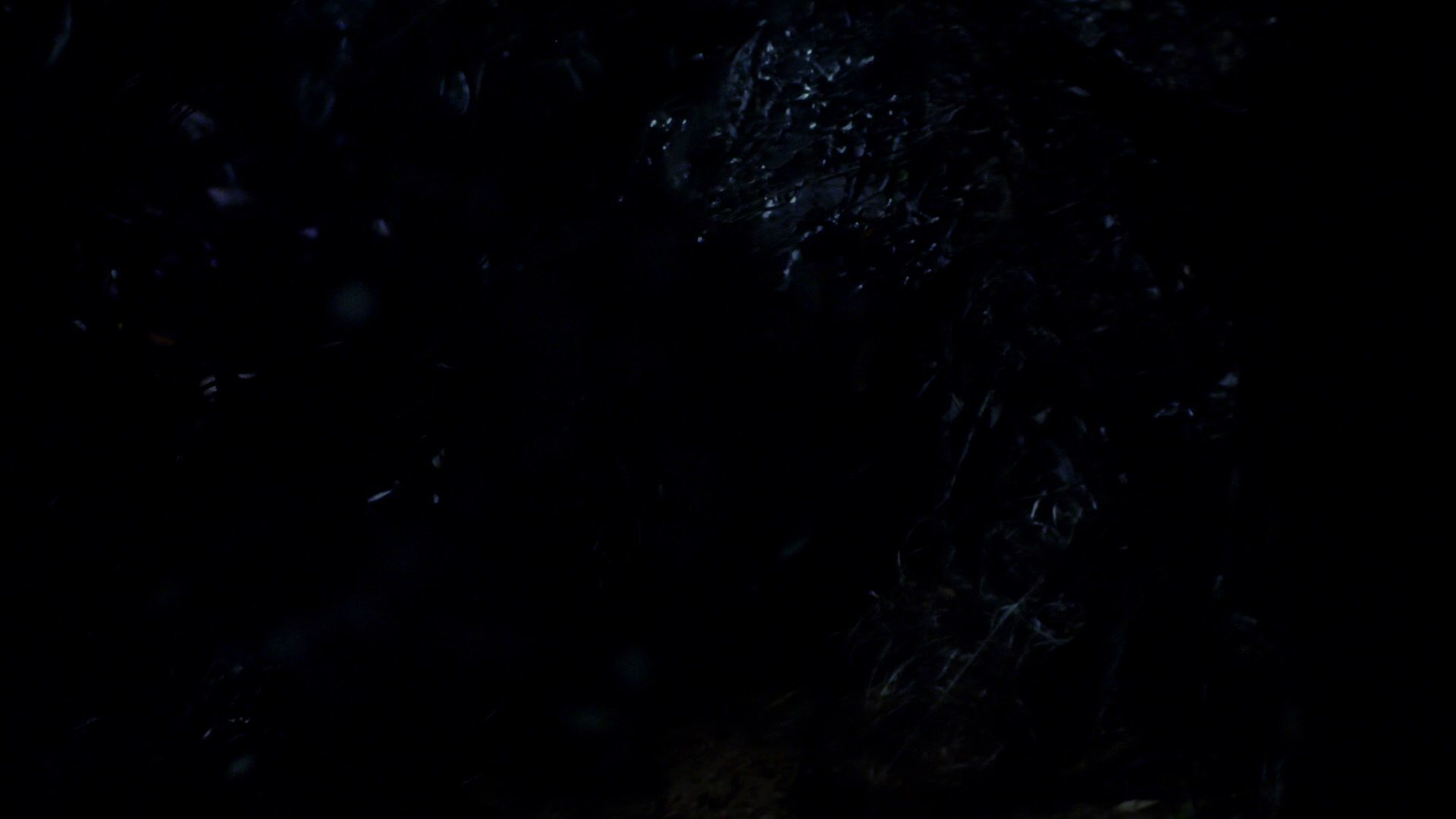 extant_StarTrek_ENT_1x18-RoguePlanet_1852.jpg